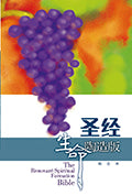 30490 聖經 - 生命陶造版 (精裝)(簡體)