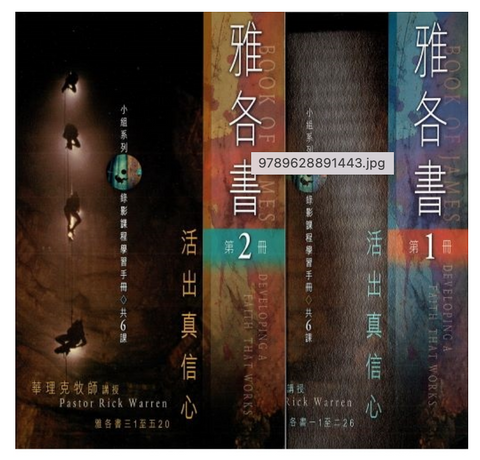 31147 雅各書:活出真信心(小組手冊)(全套2冊)| Developing A Faith that Works Book of JAMES (2 books)