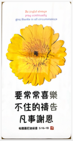 31271 經文牌C3005 要常常喜樂