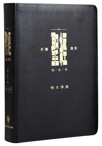 23949 聖經 - 和合本 . 祈禱應許版大字版 / 黑色皮面金邊 拇指版 CAT1338