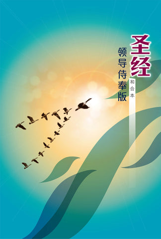 27618 	簡體聖經 - 領導事奉版/ 硬面精裝白邊 CCS5710