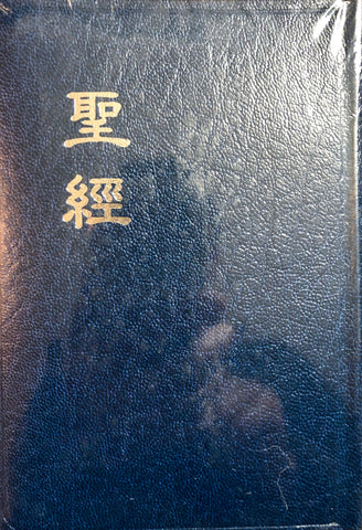 17979   聖經 - 浸字版 / 浸神版現代標點和合本 (輕便型)