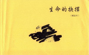 16843 	生命的抉擇 - 認識耶穌的旅程 (輔助本)