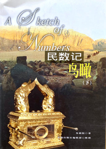 25013 	民數記鳥瞰 (下) (簡體)