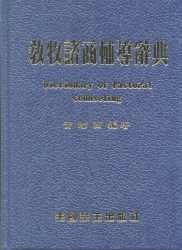 24000 教牧諮商輔導辭典(硬面精裝) Dictionary of Pastoral Counseling