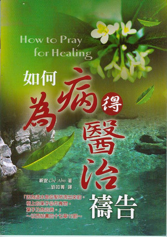 26156   如何為病得醫治禱告 How to Pray for Healing(預購品)