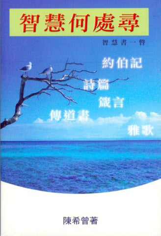 24863 智慧何處尋 - 智慧書一瞥