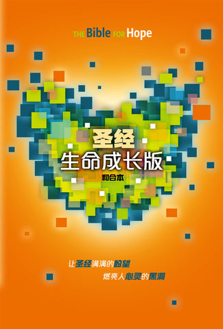 27105  簡體聖經.生命成長版 / 精裝 CCS11826  The Bible For Hope *
