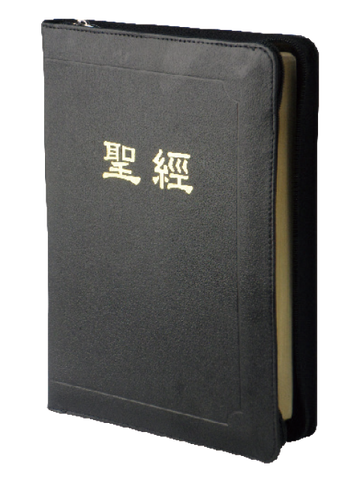 22421-1 新標點和合本.上帝版/橫排型/串珠/黑皮金邊 CUNPCS077Z