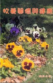 19944	牧養關懷與健康