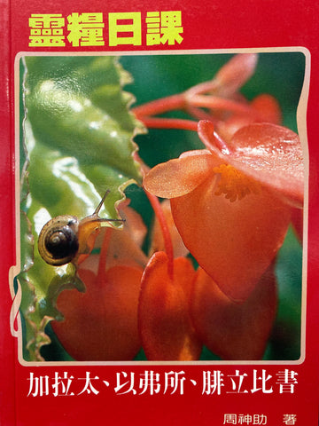 3535   靈糧日課 - 加拉太,以弗所,腓立比書