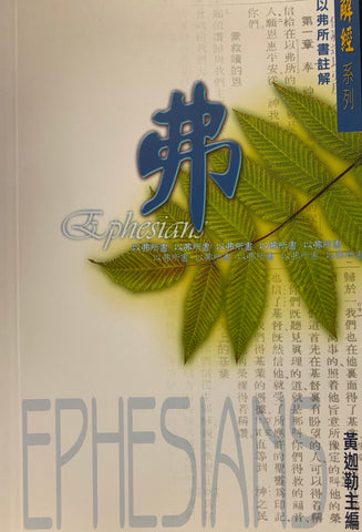 17036 	以弗所書註解 / 解經系列