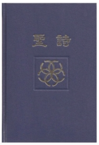 31180 台語聖詩2009年版本8版 (預購品)