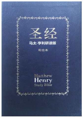 31326 馬太亨利研讀版聖經-含經文串珠-真皮豪華版