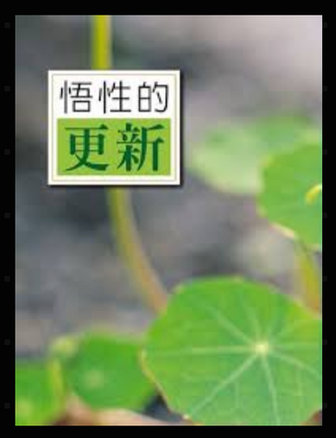 4089-1	悟性的更新 (二手書)