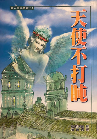 342   天使不打盹 (屬天奧秘叢書 11) Encounters with Angels