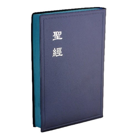 30023 -- 聖經(和合本.大型.典雅膠面.神版.藍) CU84APLNBU