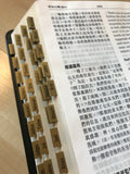 20550   金色中英對照聖經目錄索引標籤 Bilingual Bible Index Tabs (Gold)