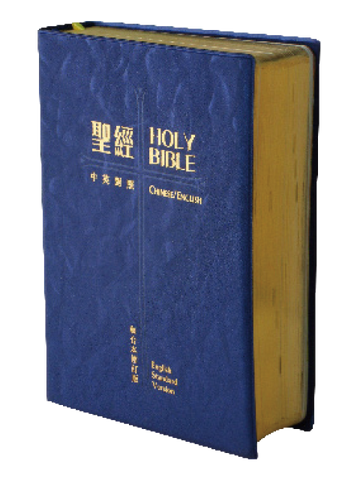 29050  中英聖經 - ESV/和合本修訂版 / 輕便版藍色膠面金邊 RCU/ESV53PL