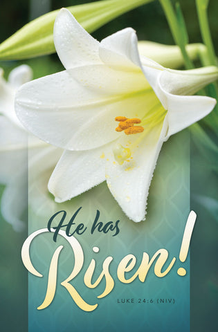 Easter Bulletins - He Has Risen Luke 24:6 復活節節目單 (Pack of 100 張)