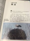 22069  以鳥為師 - 從觀鳥領悟聖經道理/精裝彩色 The Birds Our Teachers