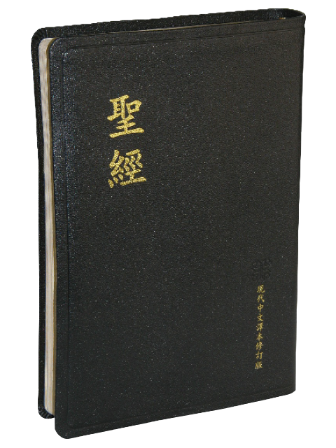 金字經文 大字皮面拉鍊索引(花紋/金)_9系列和合本聖經